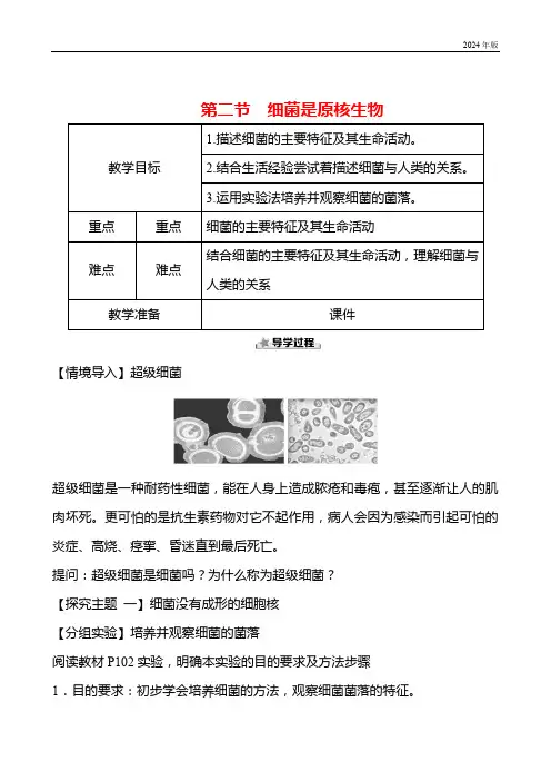 2.3.2细菌是原核生物  教案 生物济南版七年级上册