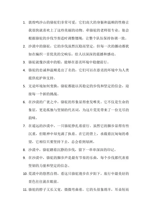 描写骆驼的优美句子(5)