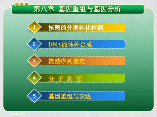 生物化学原理及应用ppt课件
