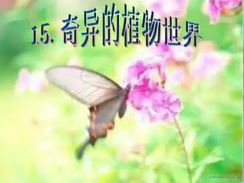 三年级语文下册第4单元15《奇异的植物世界》 优秀课件7语文S版
