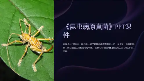 《昆虫病原真菌》课件