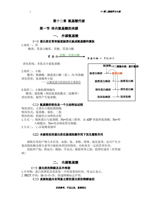 氨基酸代谢