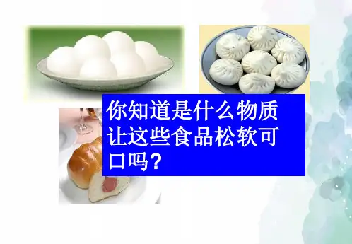 鲁教版化学九年级第三单元《第三节 海水制碱》教学课件