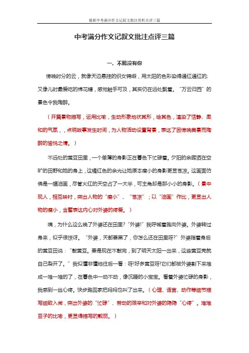 最新中考满分作文记叙文批注赏析点评三篇