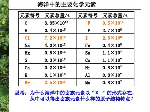 高一化学《卤素》PPT课件