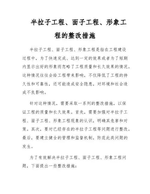 半拉子工程、面子工程、形象工程的整改措施