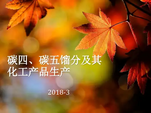 C4加工资料讲解