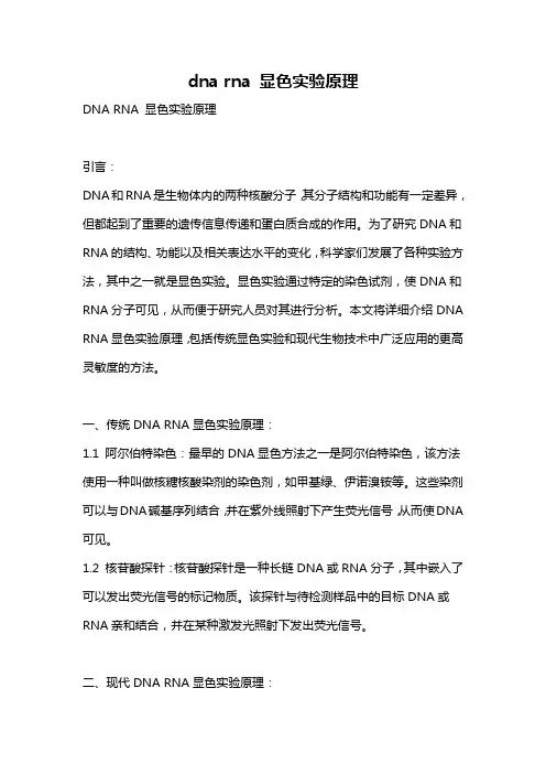 dna rna 显色实验原理