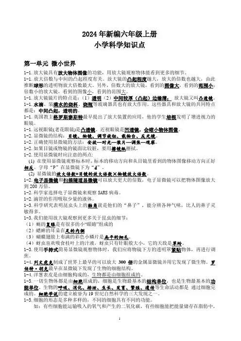 2024年新编六年级上册小学科学知识点
