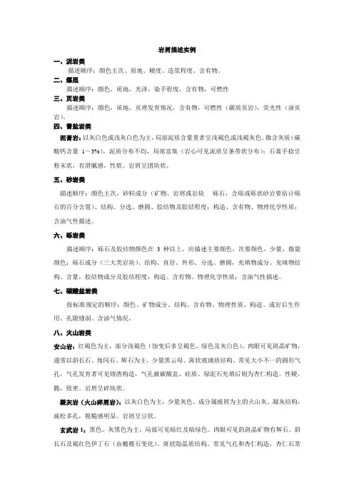 岩屑描述实例