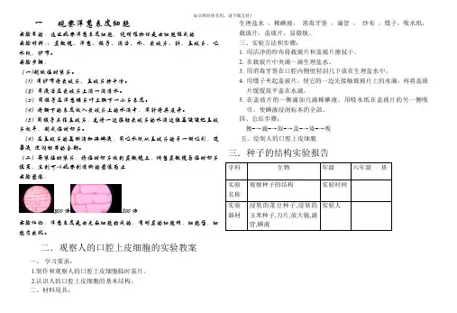 观察洋葱表皮细胞生物实验报告