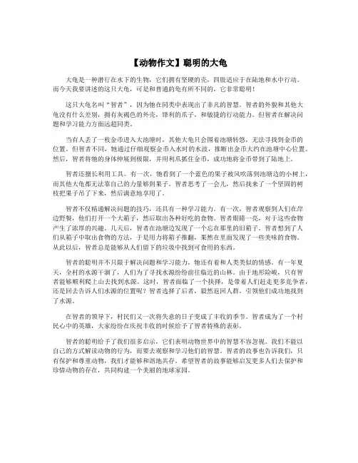 【动物作文】聪明的大龟