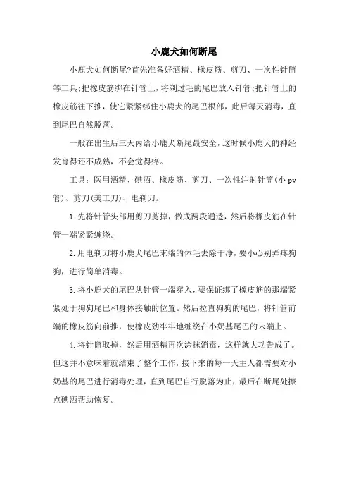 小鹿犬如何断尾