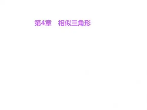 九年级数学上册 第4章 相似三角形课件 (新版)浙教版