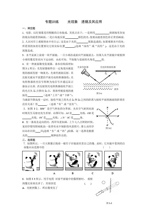 专题训练     光现象  透镜及其应用
