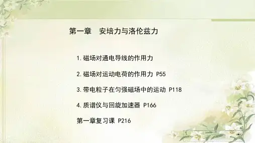 新教材 人教版高中物理选择性必修第二册 第一章 安培力与洛伦兹力 精品教学课件