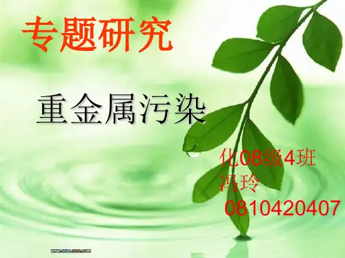 重金属污染PPT课件