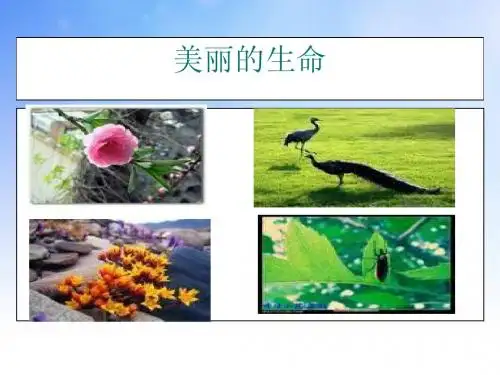 七年级语文短文两篇PPT课件