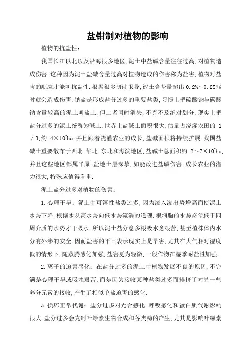 盐胁迫对植物的影响