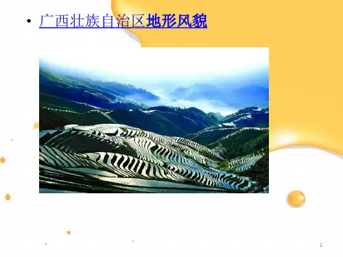 四年级品社走进不同的家乡