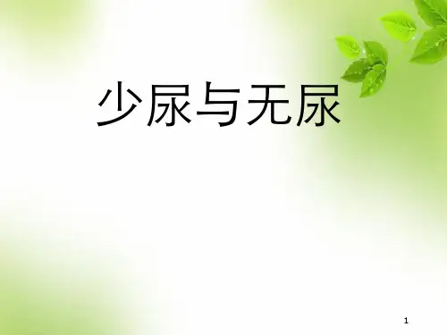 少尿与无尿精品PPT课件