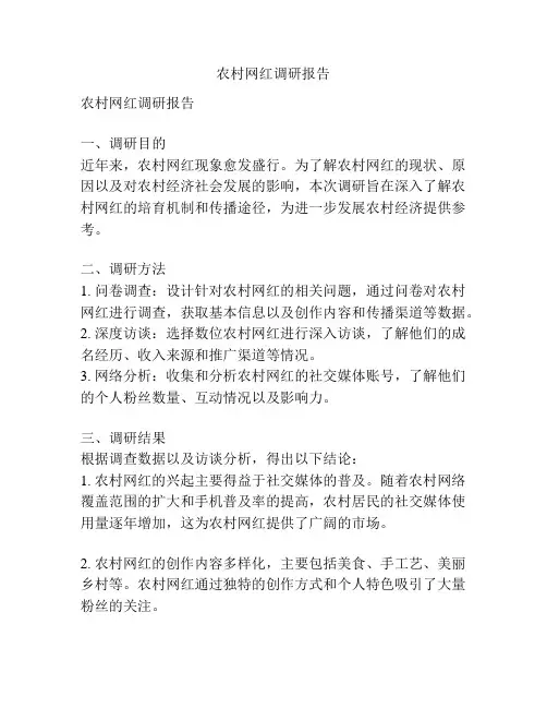 农村网红调研报告