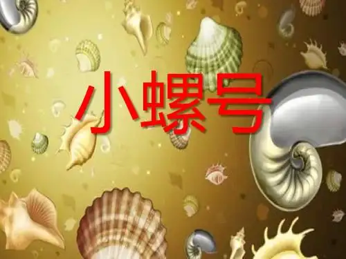 《小螺号》 精品PPT课件2