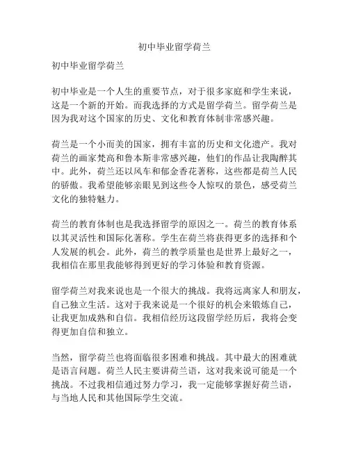 初中毕业留学荷兰