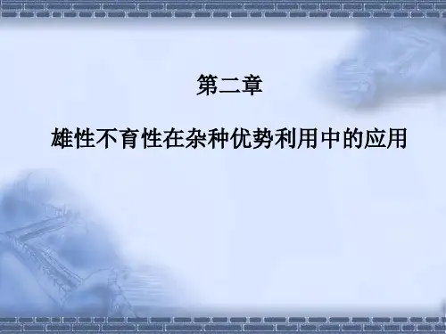 雄性不育ppt课件