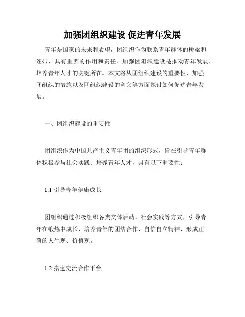 加强团组织建设 促进青年发展