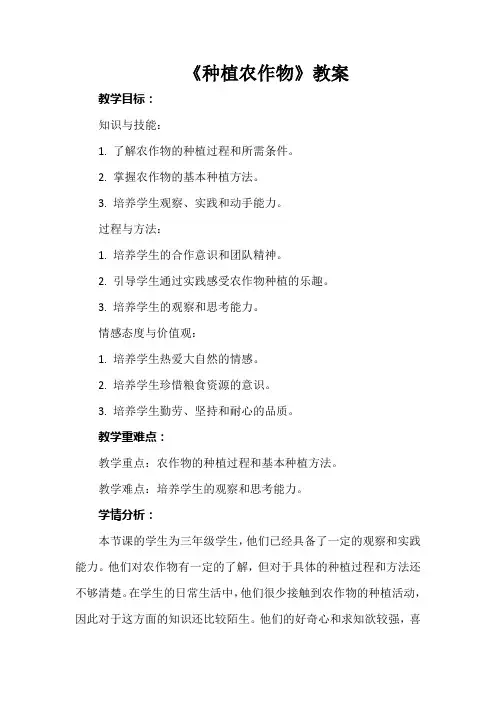 《种植农作物》教案