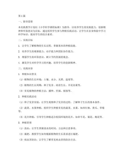小学种植实践教学计划(3篇)