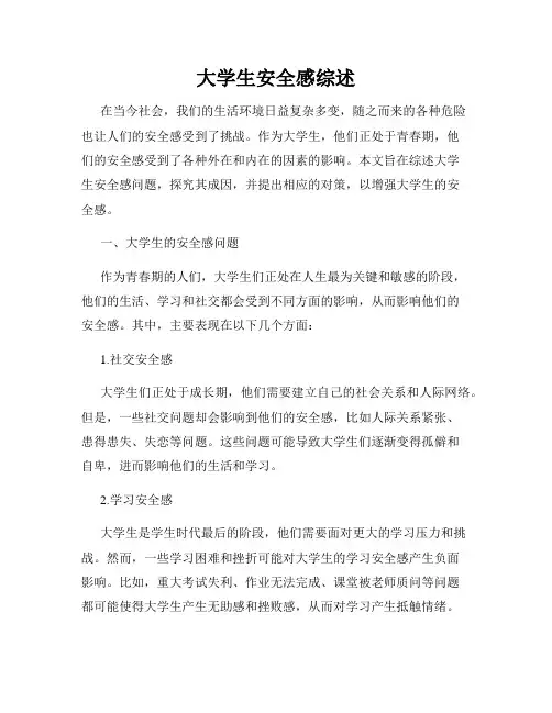 大学生安全感综述