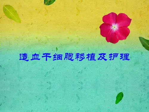 造血干细胞移植护理