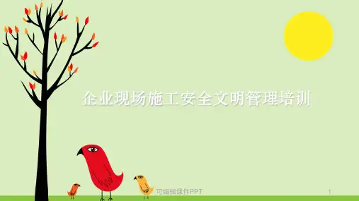 企业现场施工安全管理培训ppt课件
