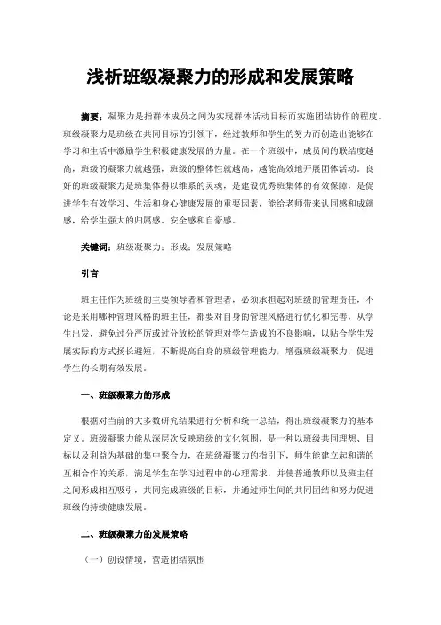 浅析班级凝聚力的形成和发展策略