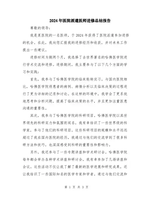 2024年医院派遣医师进修总结报告