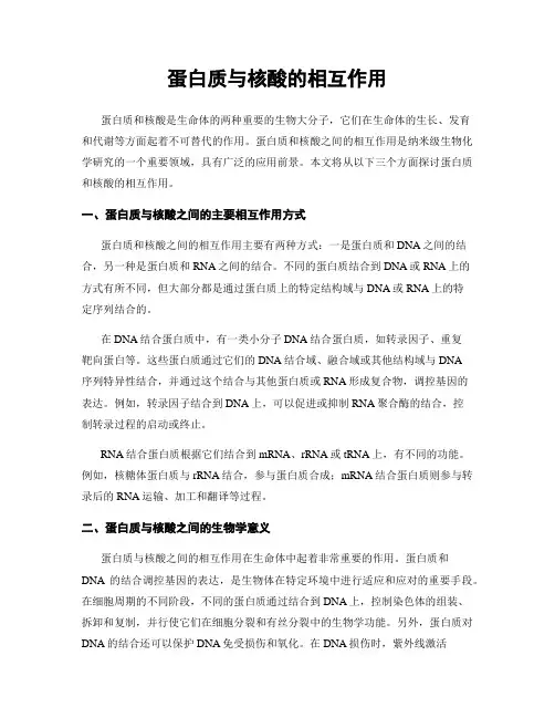 蛋白质与核酸的相互作用