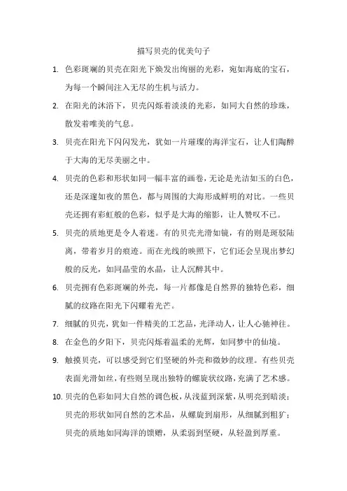 描写贝壳的优美句子