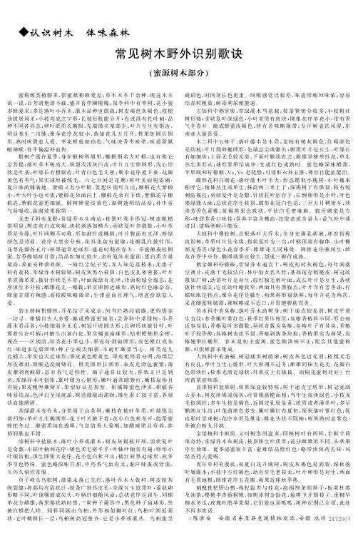 常见树木野外识别歌诀