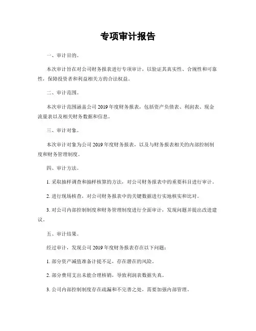 专项审计报告