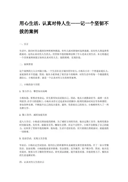 认真对待人生的案例
