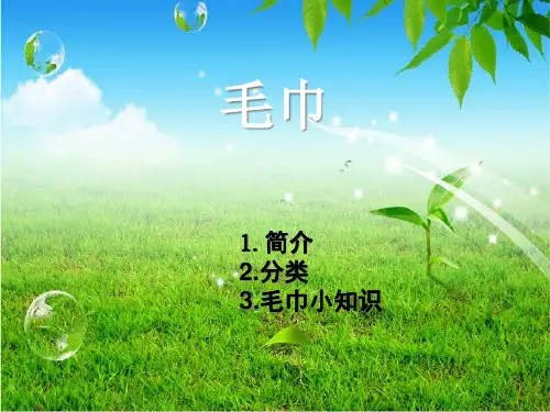 毛巾专题知识讲座