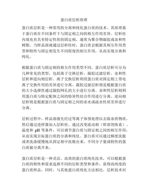 蛋白质层析原理