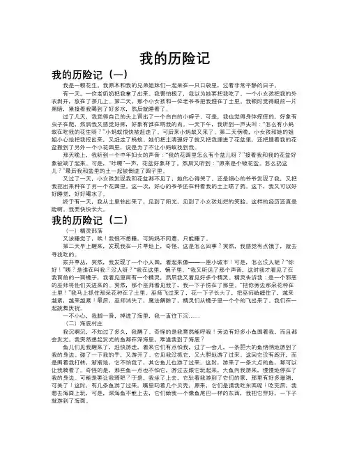 我的历险记共十篇
