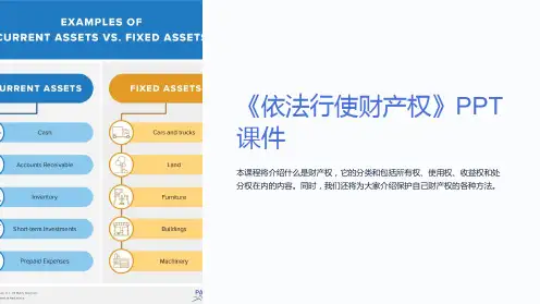 《依法行使财产权》课件