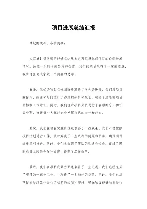 项目进展总结汇报