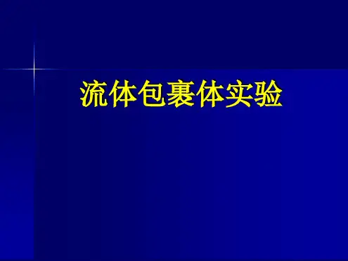 4流体包裹体实验解析