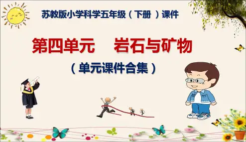 2023苏教版小学科学五年级(下册) 第四单元  岩石与矿物