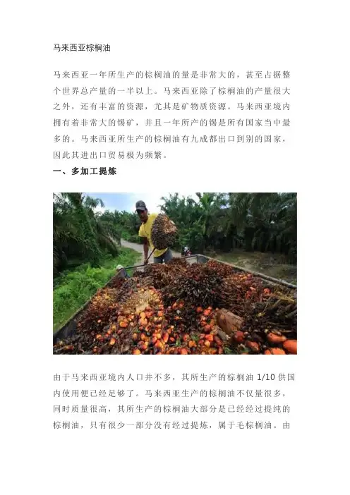 马来西亚棕榈油